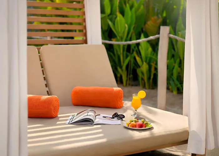 Adagio Premium The Palm