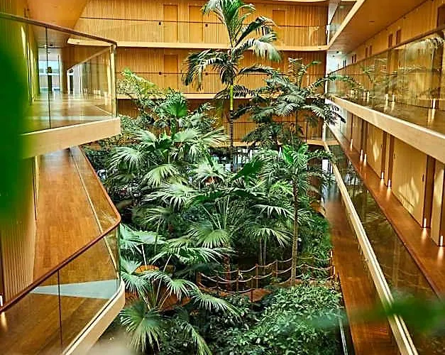 Jakarta Amsterdam