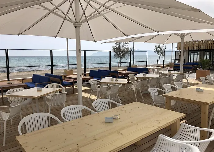 Hotel: Hotel Sa Roqueta Can Picafort ADULTS ONLY