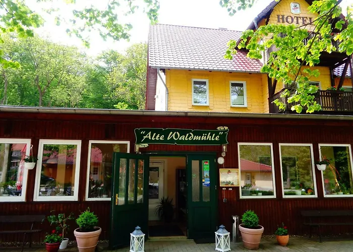 Alte Waldmühle