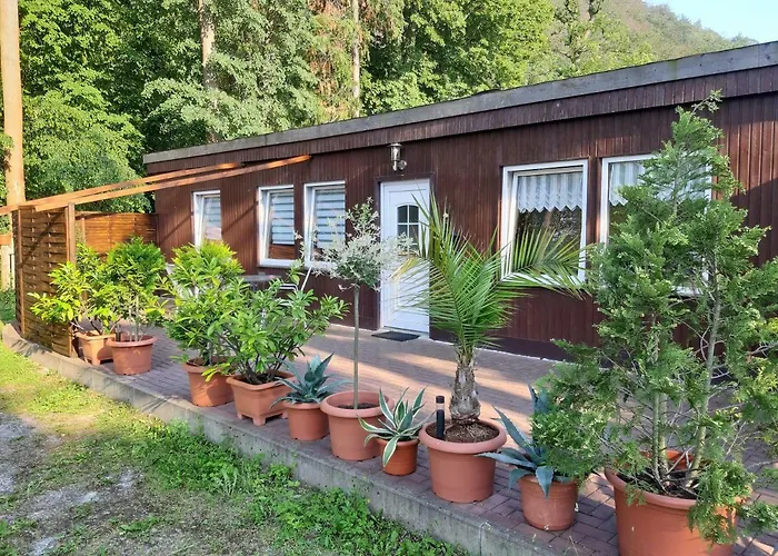 Alte Waldmühle