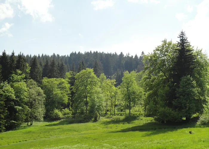 3-Sterne-Hotel: Obere Schweizerhütte