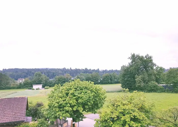 Easy-Living Buholz Hoch 12