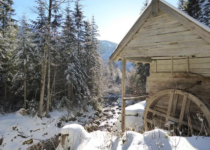 Resort: Pension Ladner