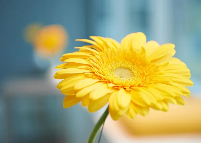 Selbstverpflegung: Ghotel Hotel & Living Muenchen-Nymphenburg